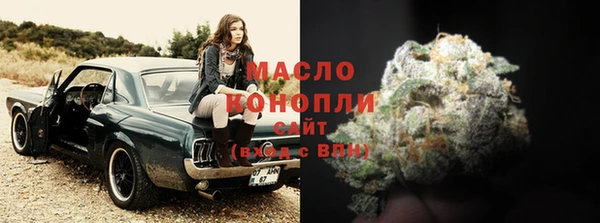 стаф Богданович