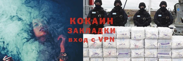 стаф Богданович