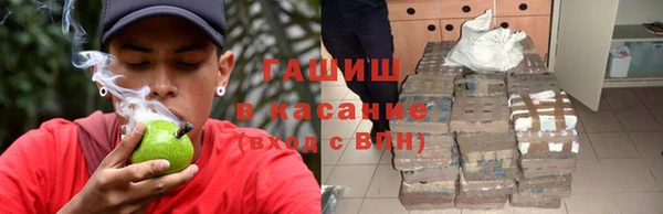 стаф Богданович