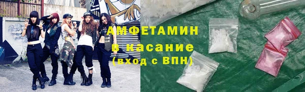 стаф Богданович