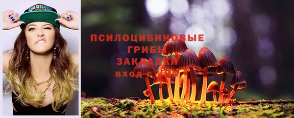 2c-b Богородск