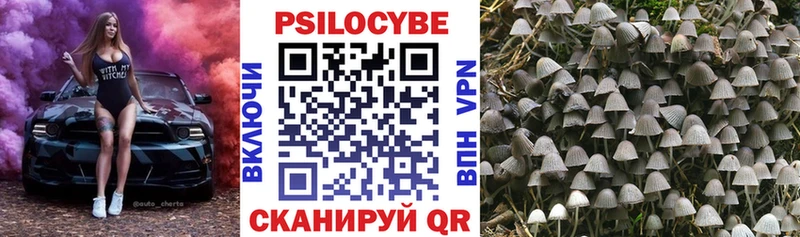 Псилоцибиновые грибы GOLDEN TEACHER  купить   hydra   Пионерский 